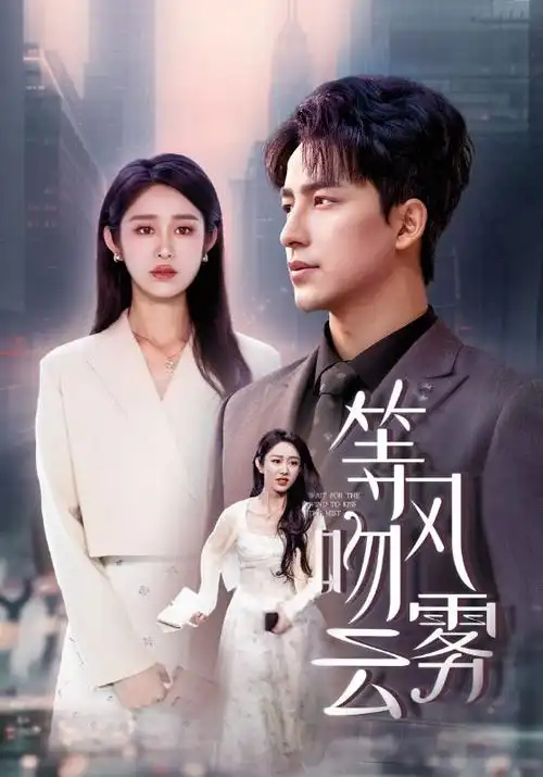 我们这一天 夫妻共赏剧集海报